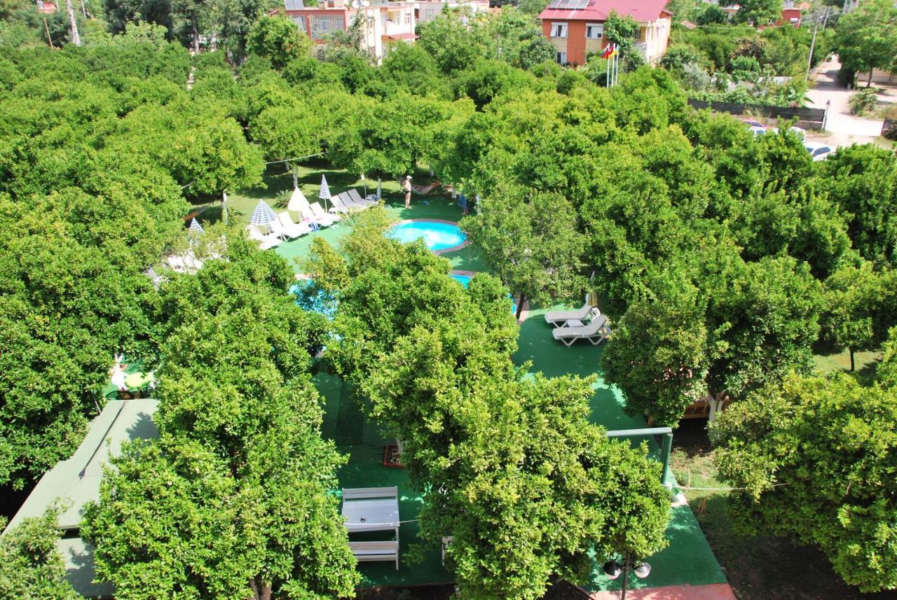 Hotel Castle Park Beldibi (Kemer)