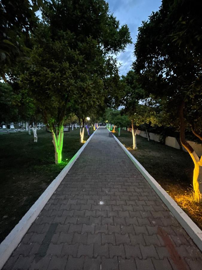 Hotel Castle Park 4*