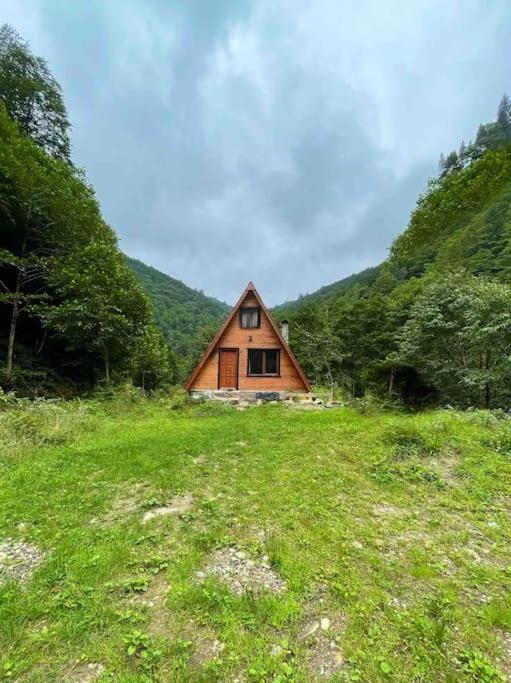 Bed & Breakfast Mountain House - *