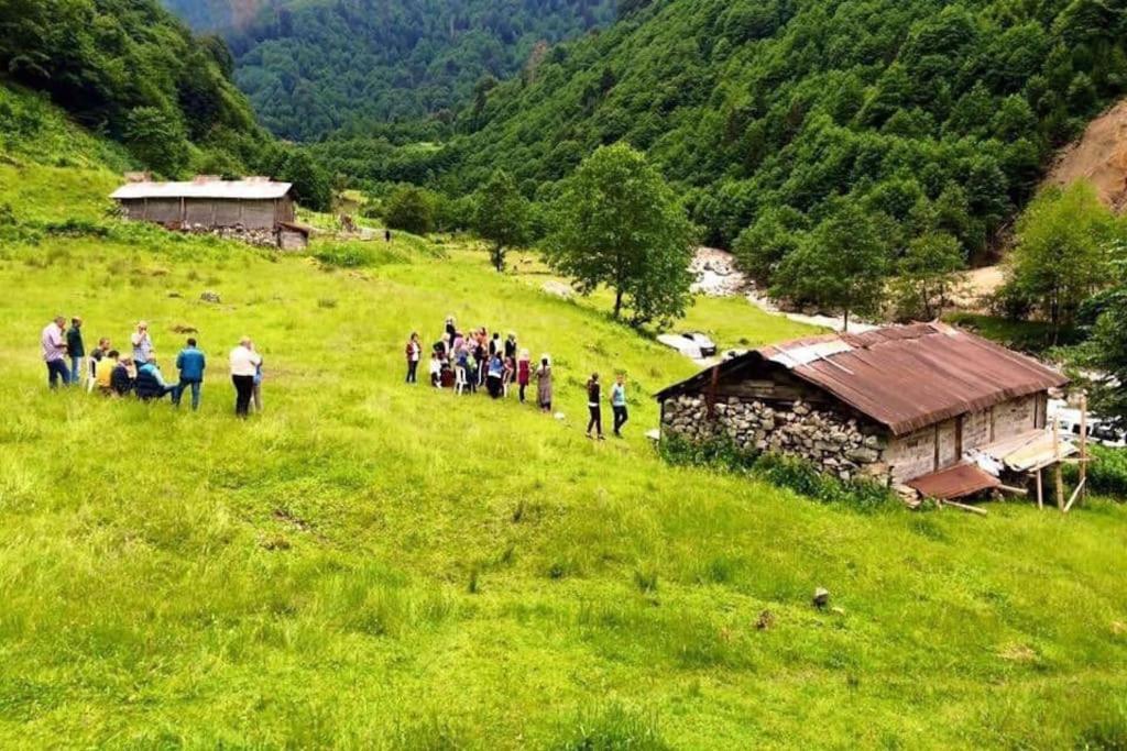 Mountain House - Bed & Breakfast