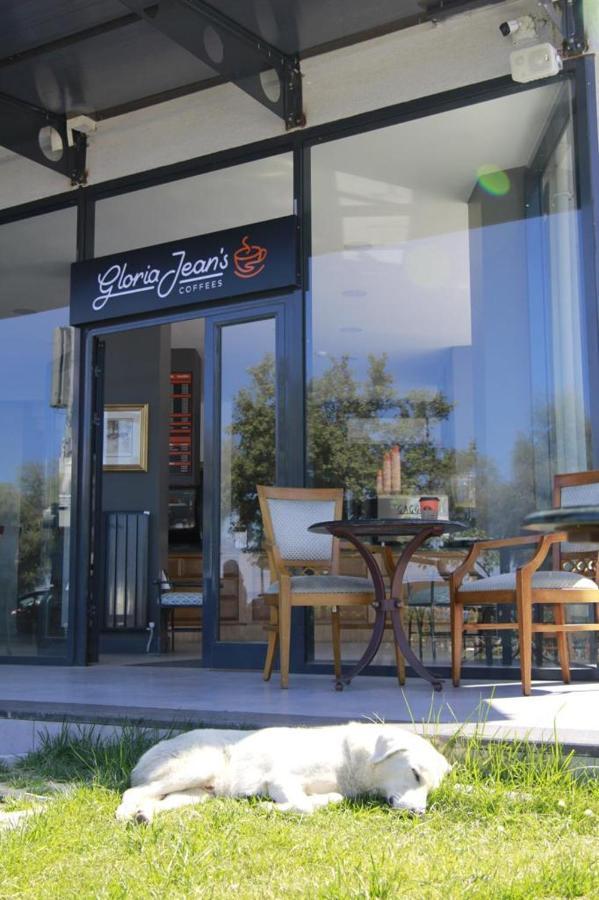 Bed & Breakfast Tasliman