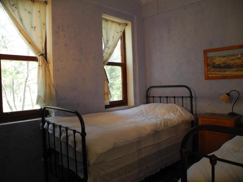 Daphne House Guest house Olympos