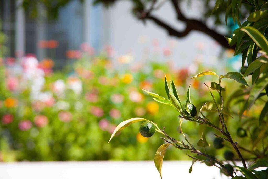 Butik Mor Salkim Evleri Holiday home