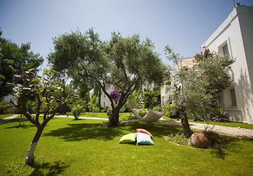 Mavi Turkbuku Hotel Golturkbuku