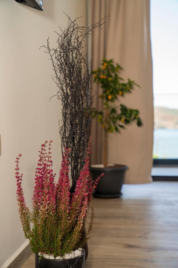 Aparthotel Ansira