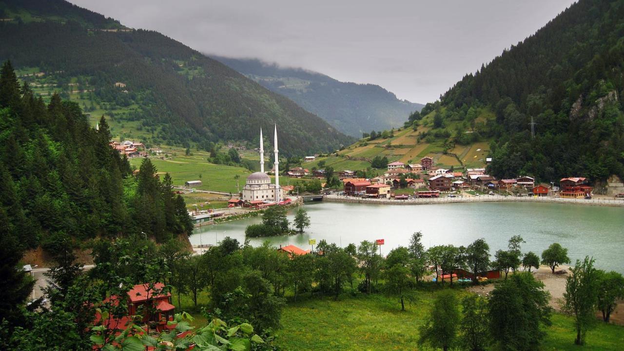 Hotel Cerrahpasa Uzungol