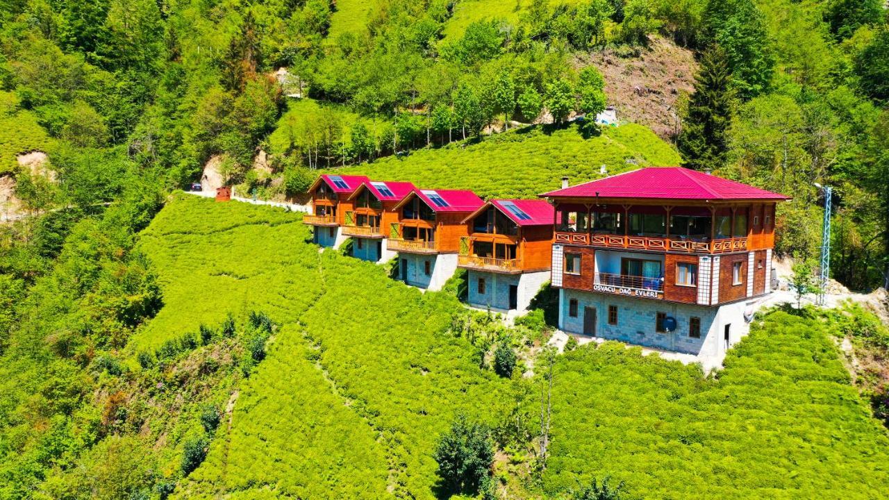 Osvacu Aparthotel *