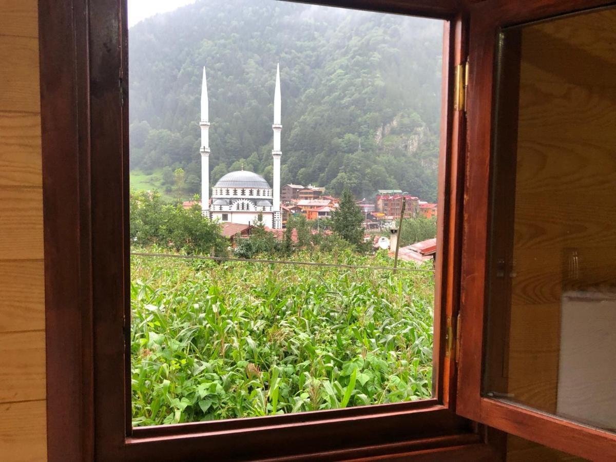 Cerrahpasa Hotel 3*