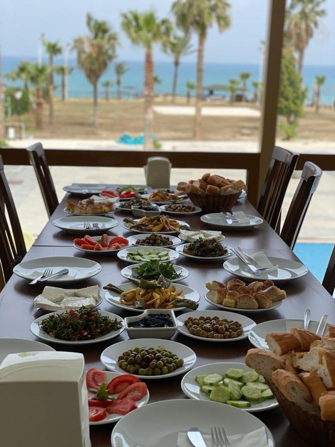 Hotel Diva Turka 4*