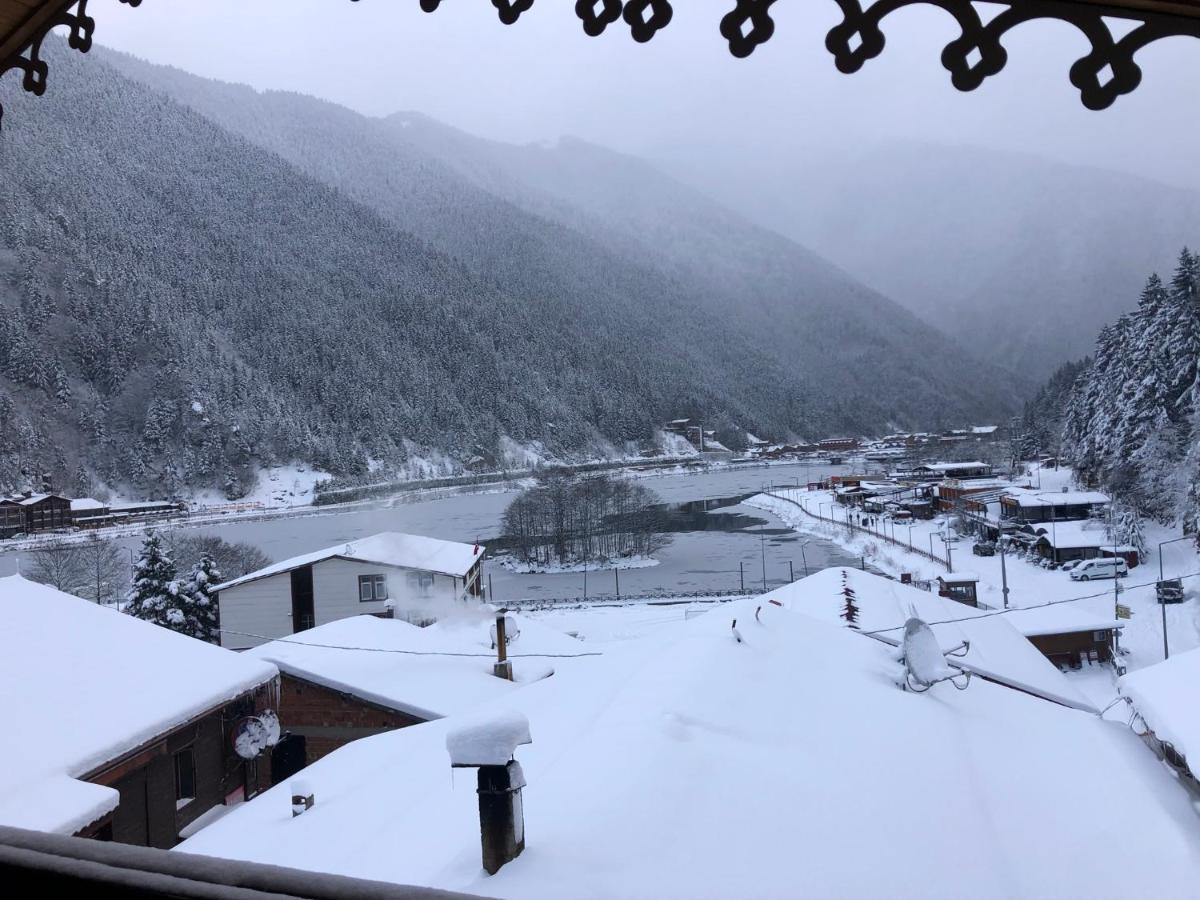 Cerrahpasa Hotel Uzungol