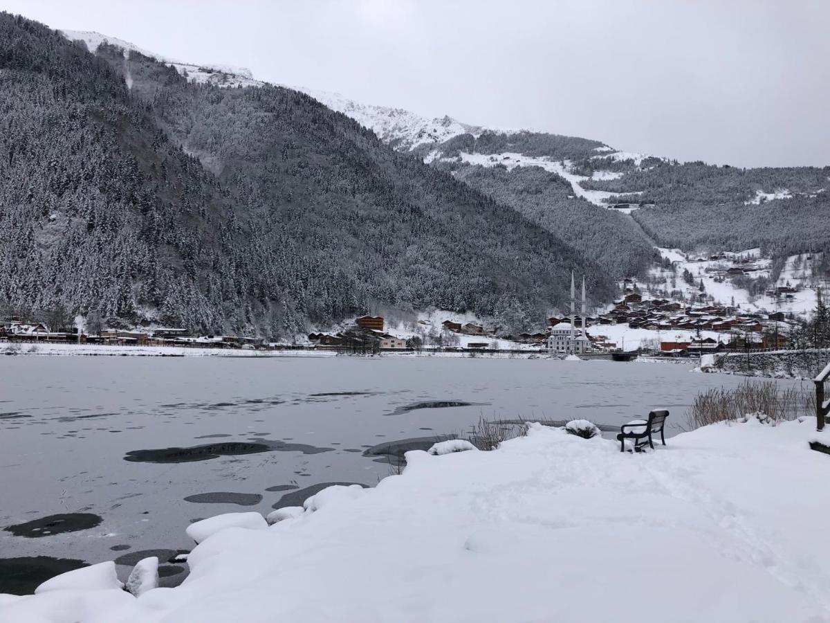 Hotel Cerrahpasa