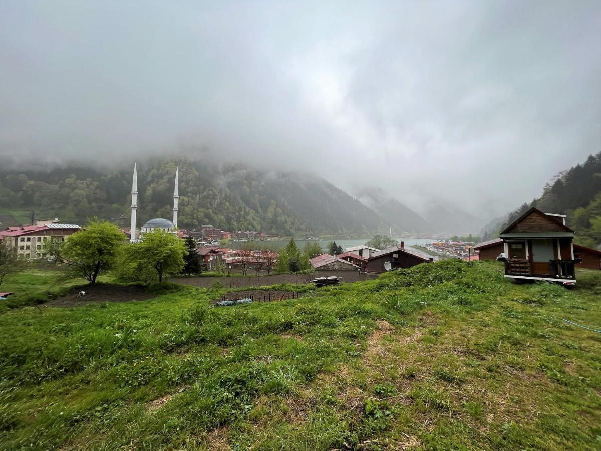Hotel Cerrahpasa 3*