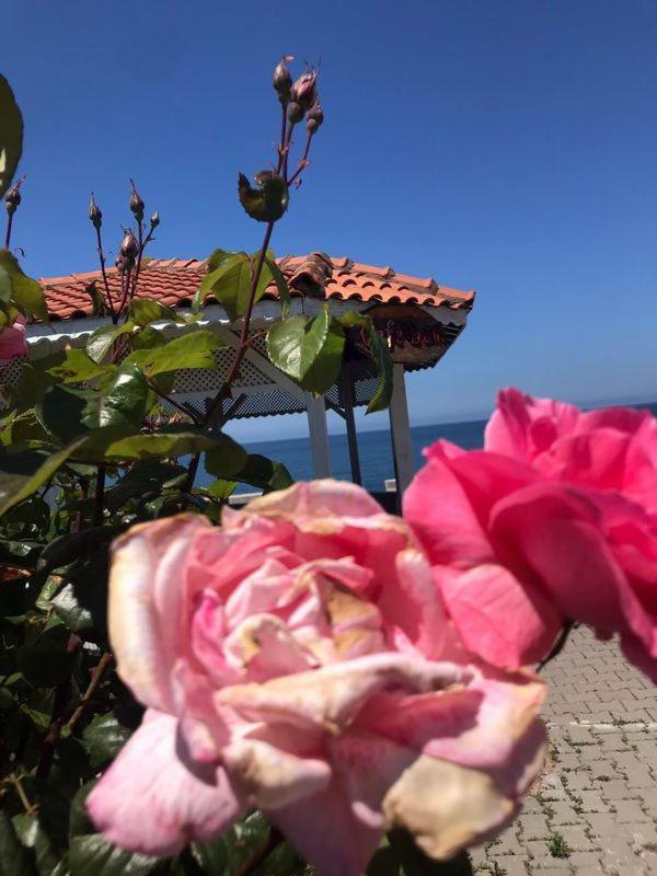 Gardenya Resort