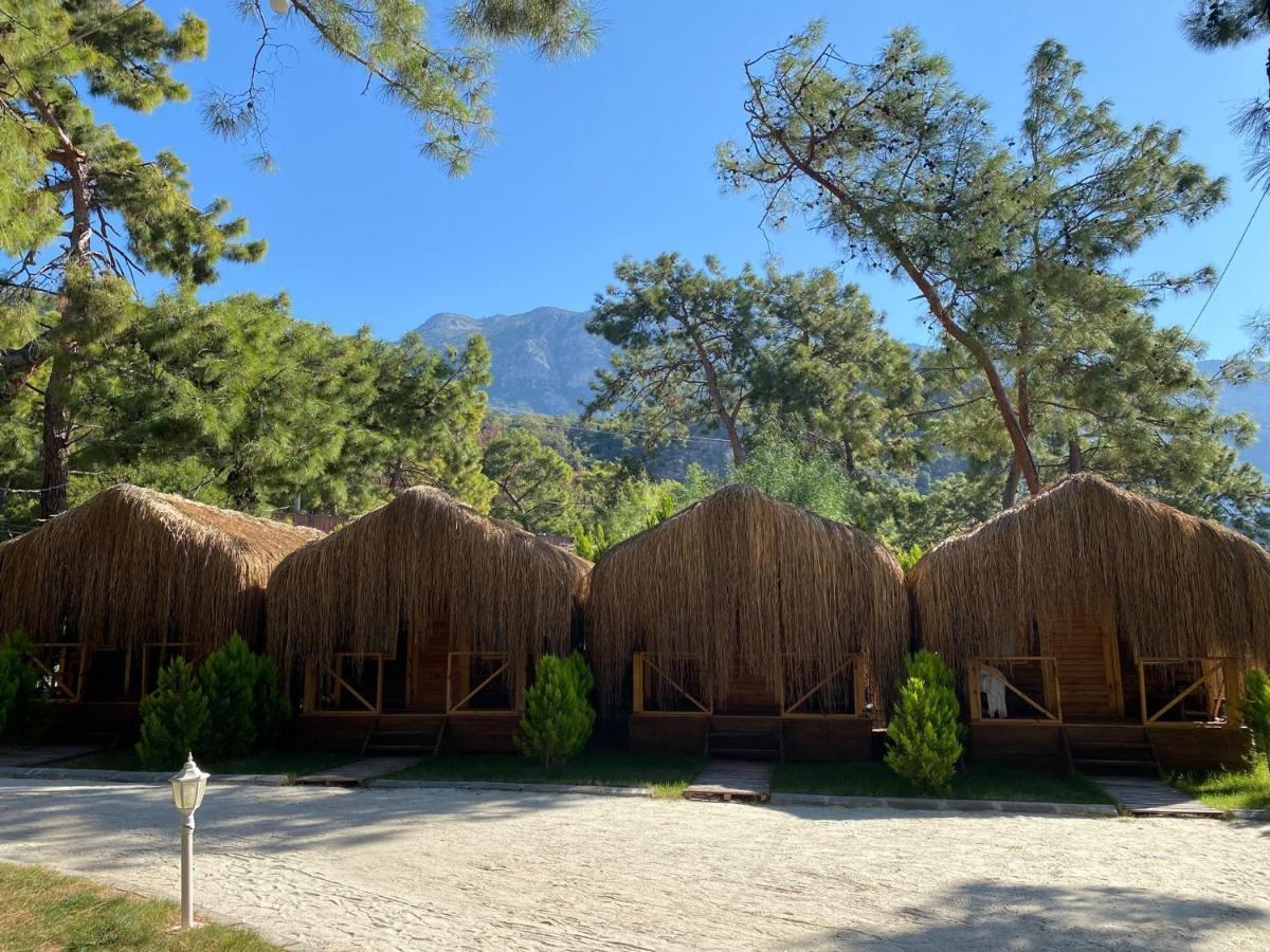 Pine & Luxury Concept Hotel *