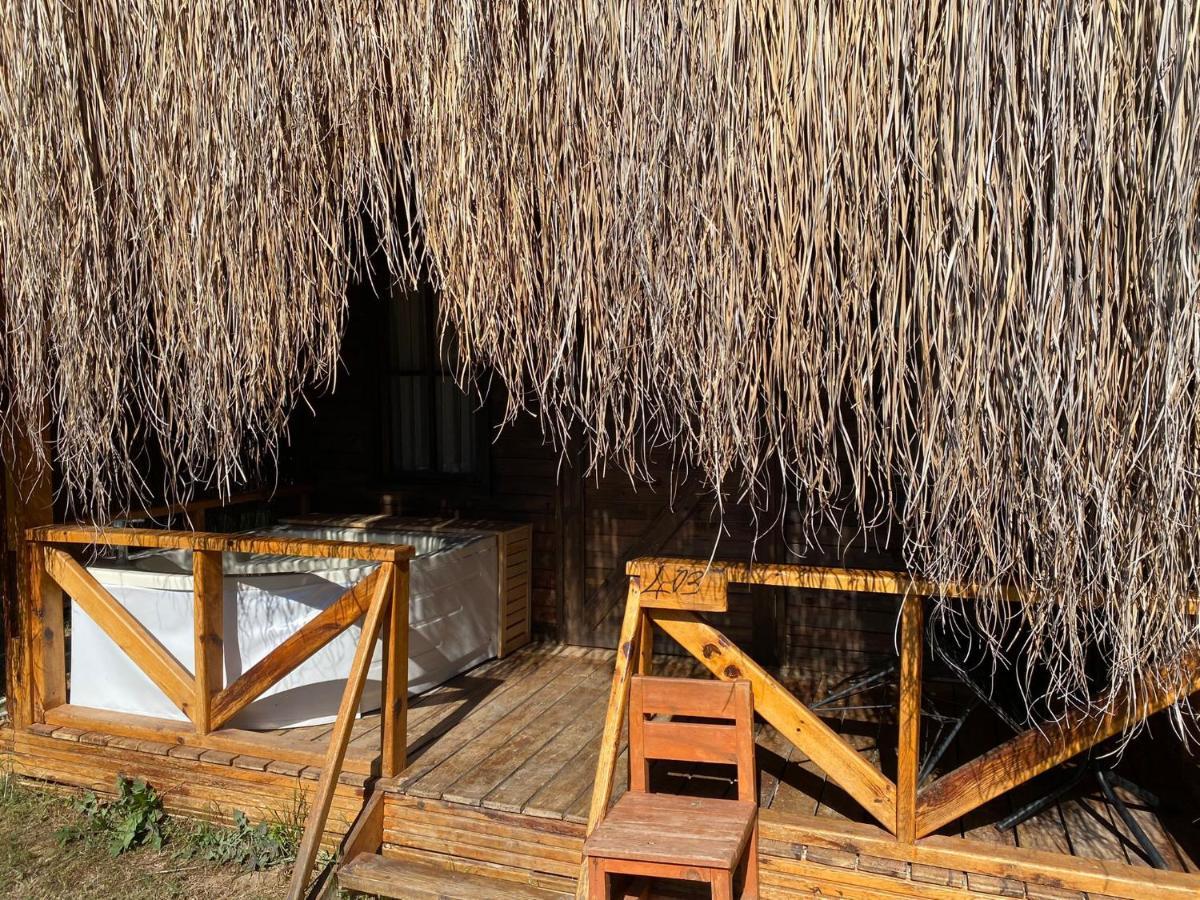 Pine & Luxury Concept Hotel