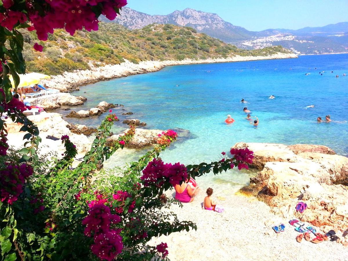 Blue Sea View - Peninsula Villa
