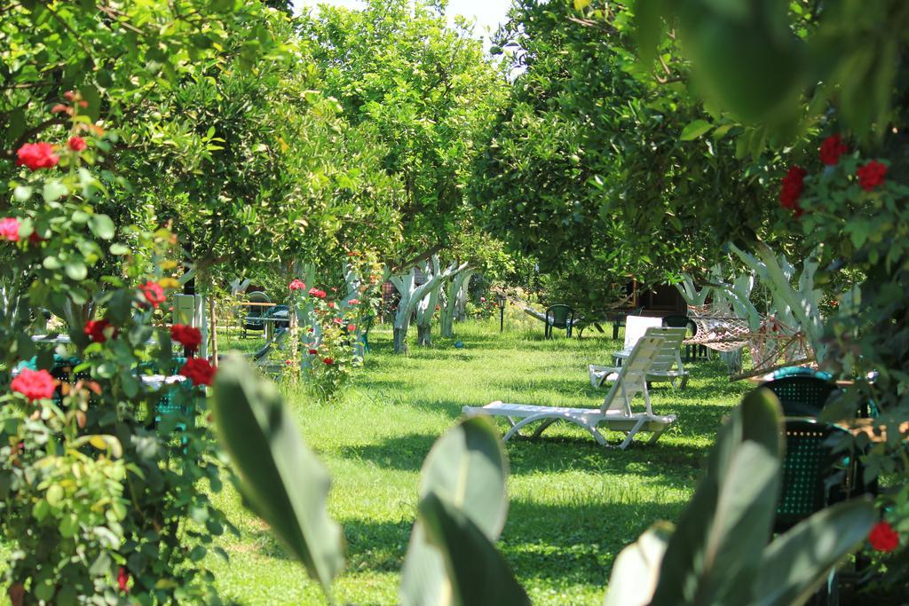 Mercan Bed & Breakfast Cirali