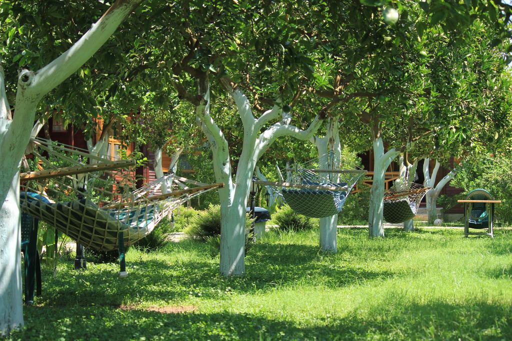 Bed & Breakfast Mercan Cirali