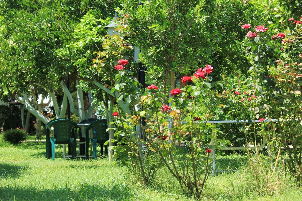 Mercan Bed & Breakfast Cirali