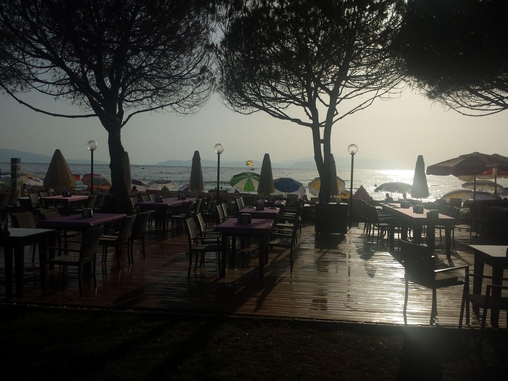 Catalina *