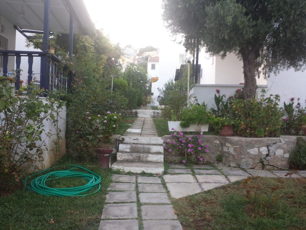 Catalina Villa