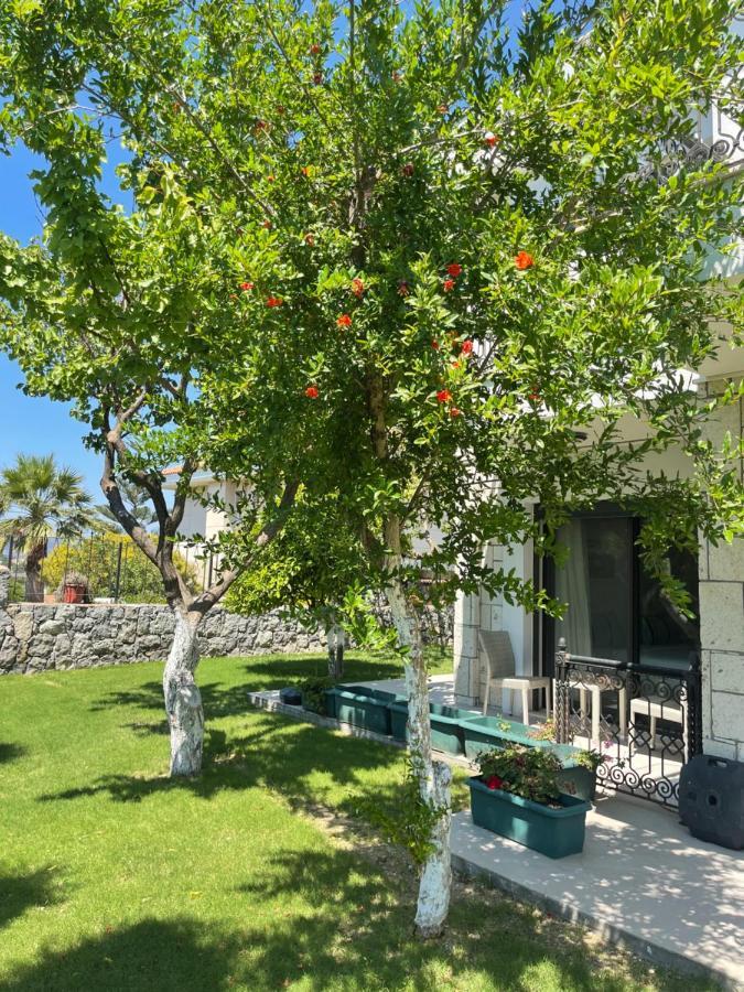 Bed & Breakfast Dalyan Risus