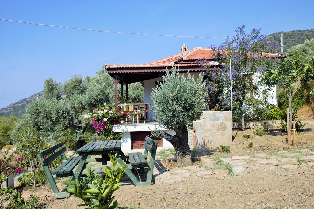 Avlana House Mesudiye (Datca)