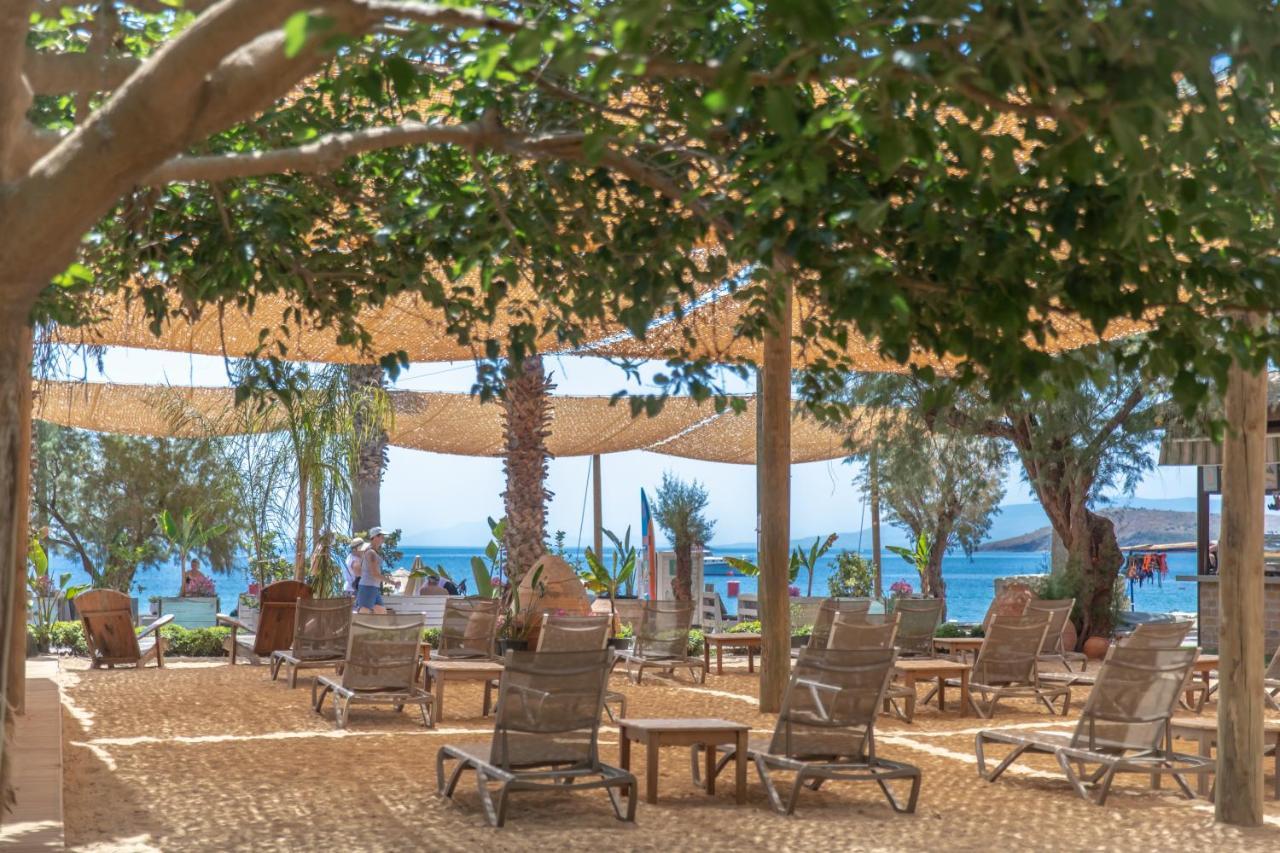 Kefi & 3* Ortakent