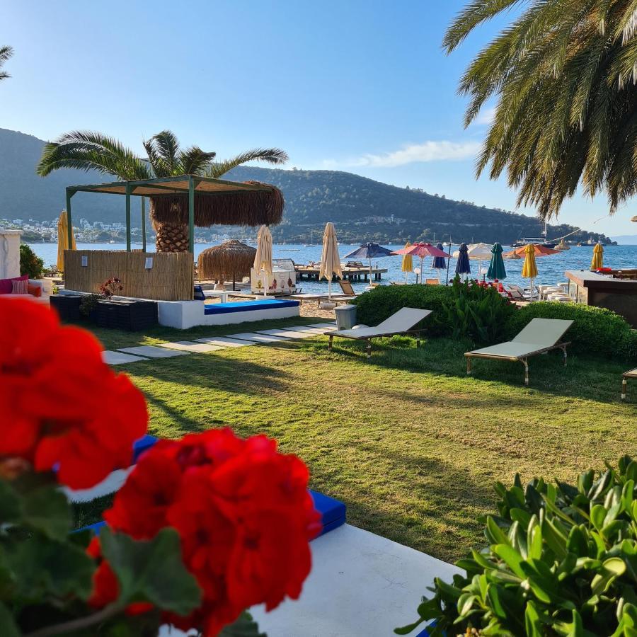 Hotel Toka & Club 3*