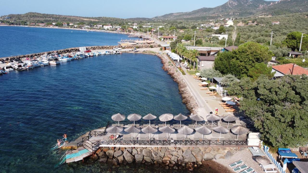 Bed & Breakfast Assos Zeyti̇n Special Class Adults Only 12 *