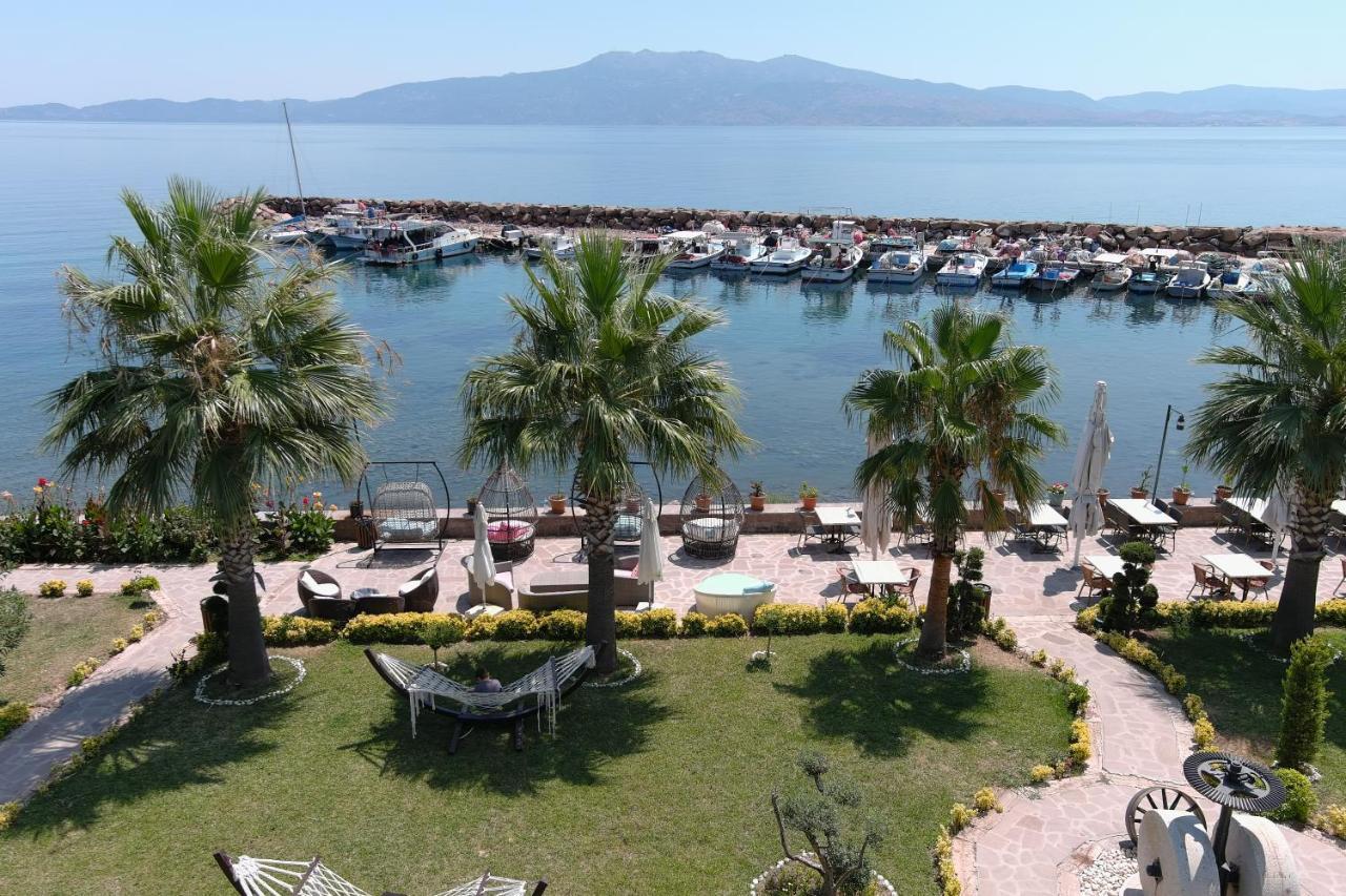 Assos Zeyti̇n Special Class Adults Only 12 * Sokakagzi