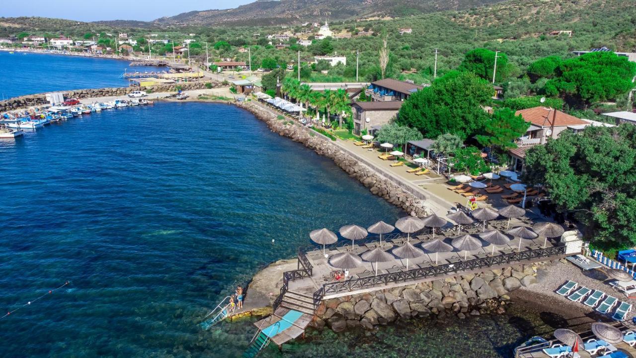 Assos Zeyti̇n Special Class Adults Only 12 Bed & Breakfast