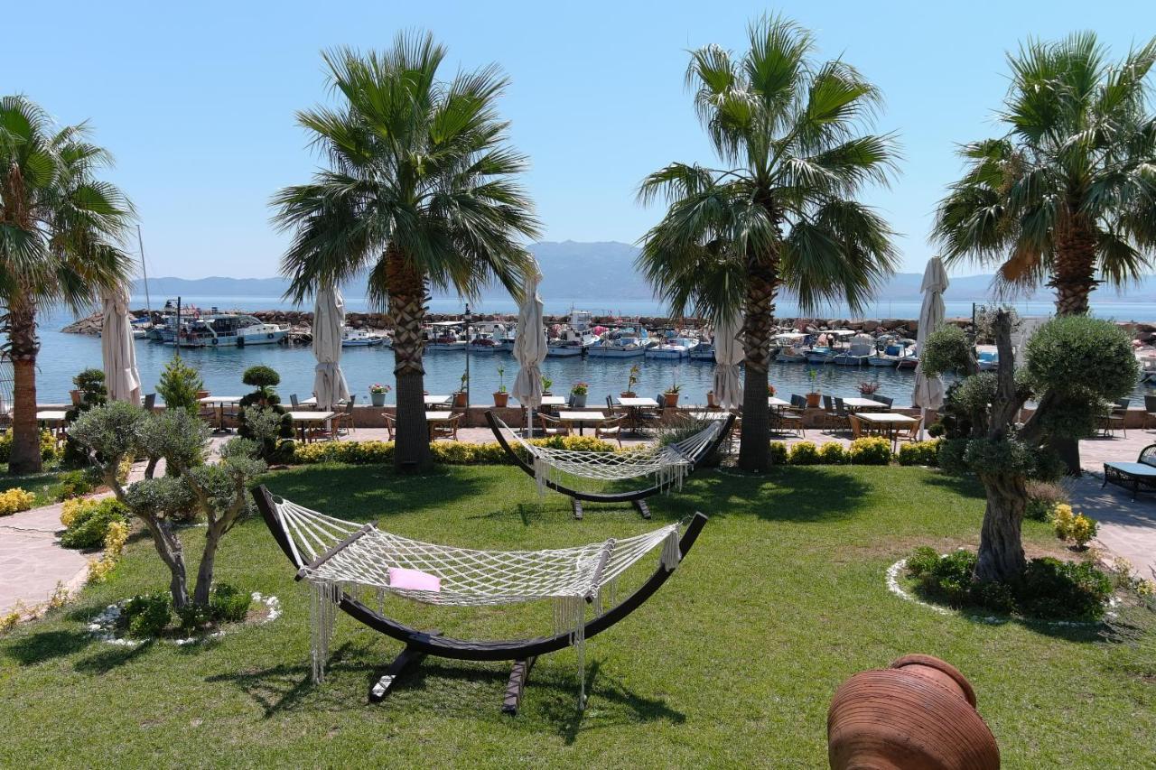 Assos Zeyti̇n Special Class Adults Only 12 Sokakagzi