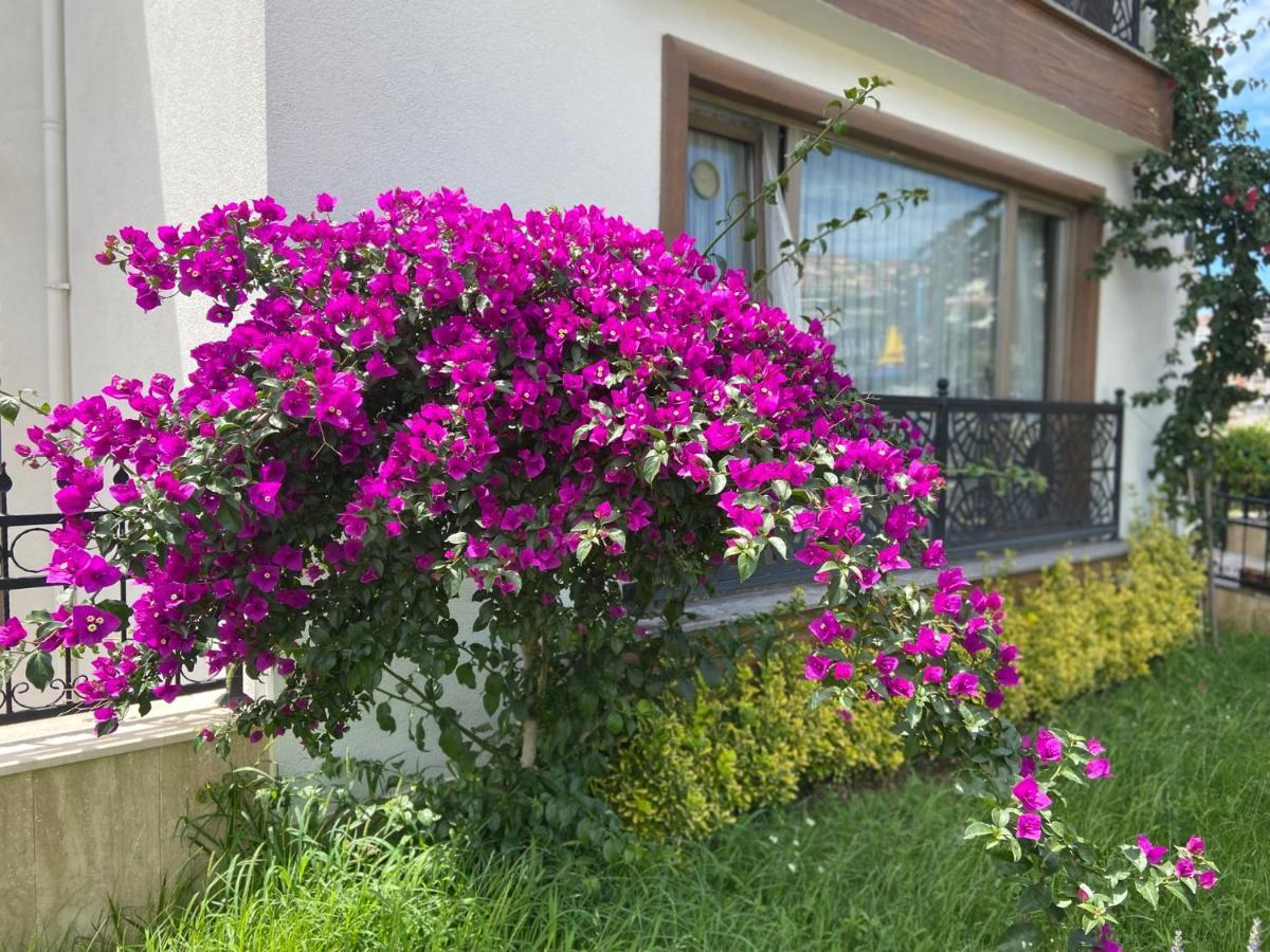 Apartment Yelken Sinop