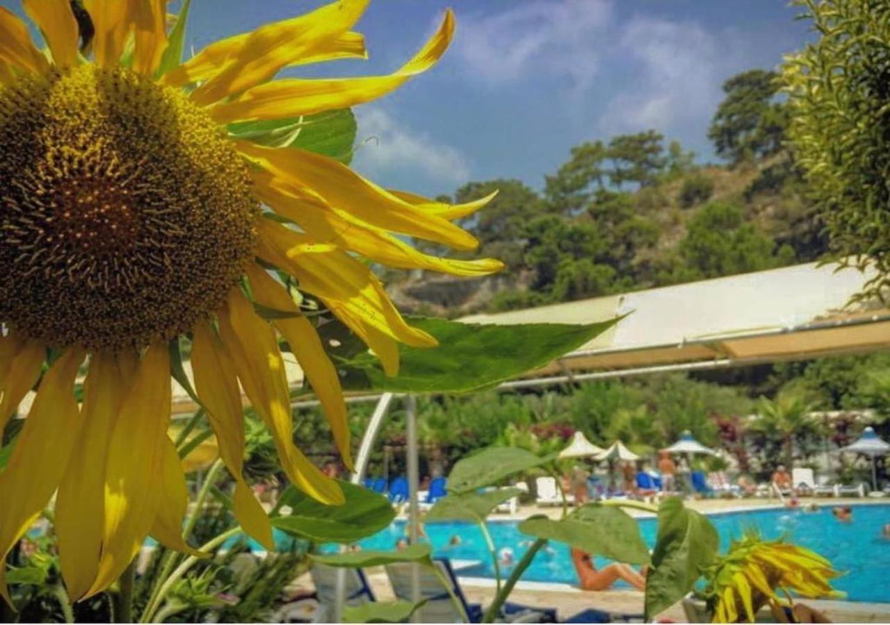 Golden Sunset Hotel&spa