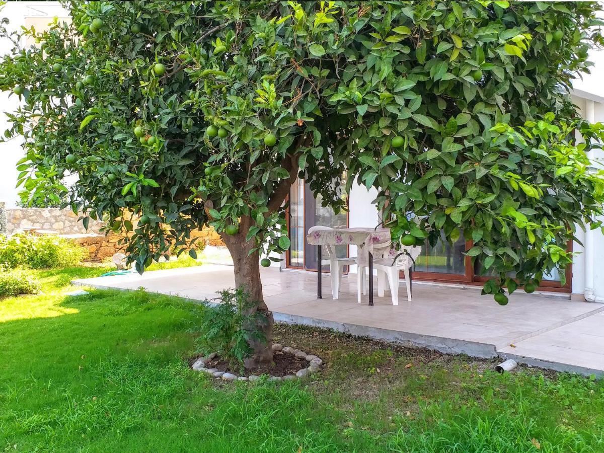 Ertem Apartment *