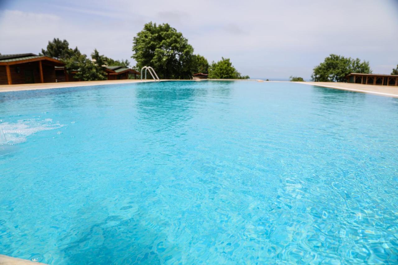 Teras Garden & Bungalow