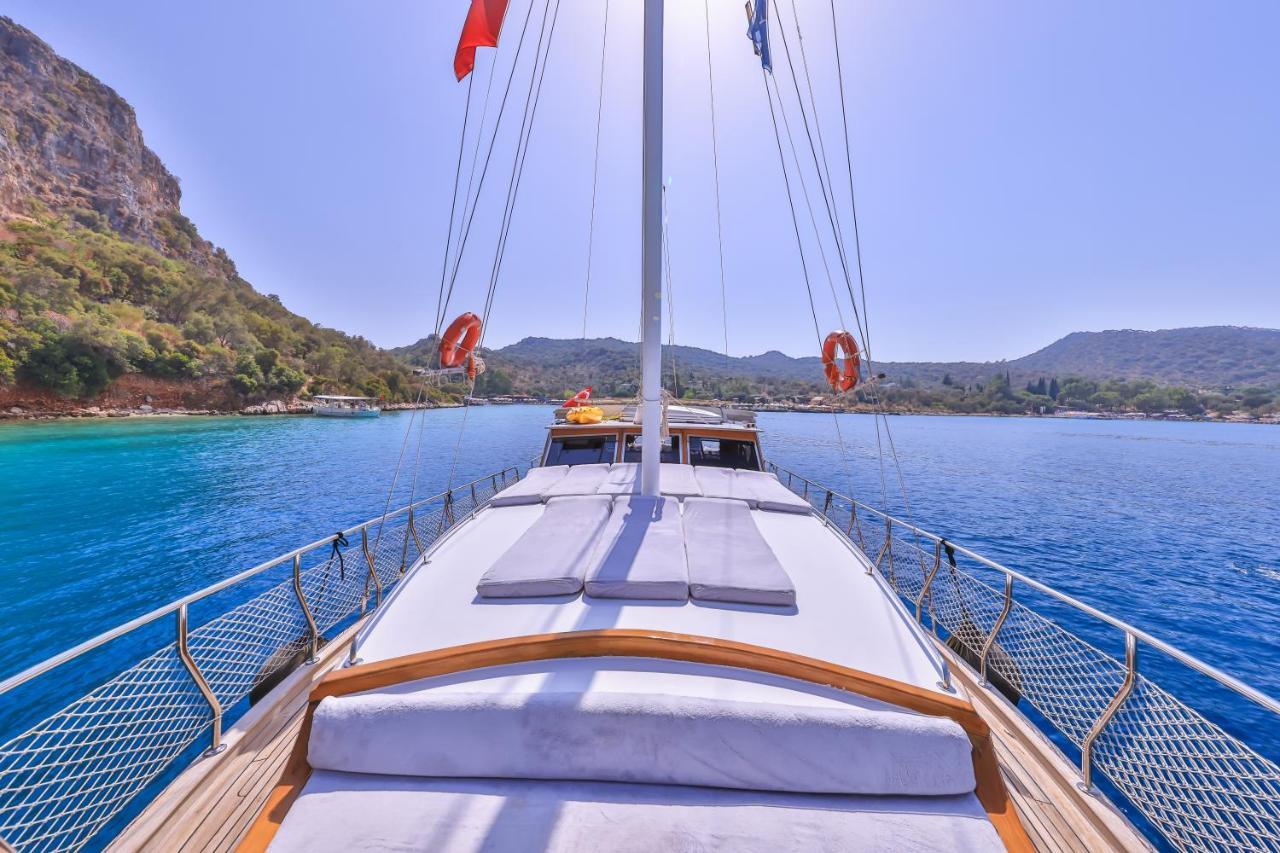 Blue Cruise 