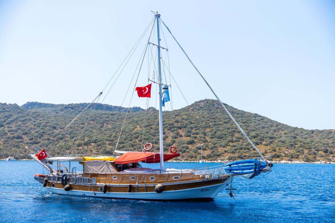 Blue Cruise 