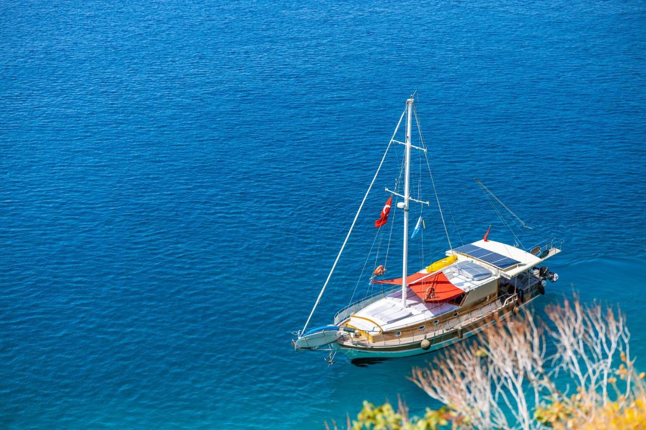 Blue Cruise