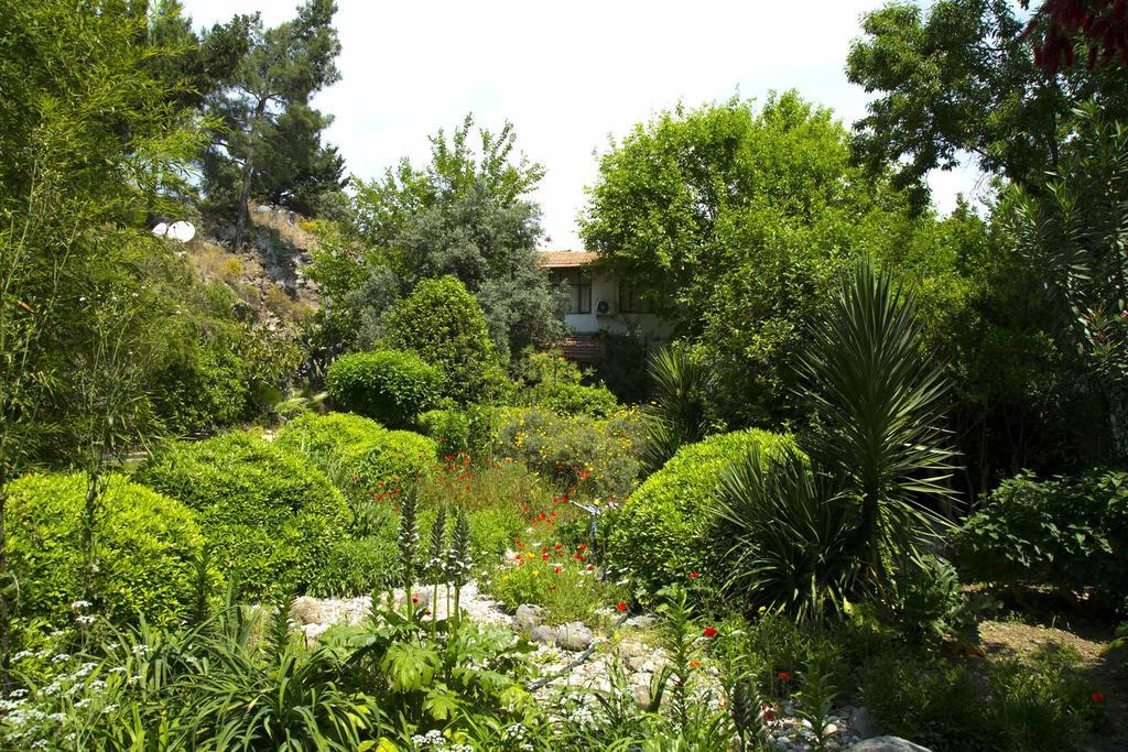 Guest house Dostlar Tekirova