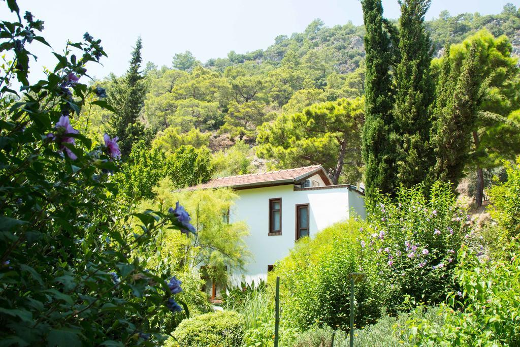 Guest house Dostlar Tekirova