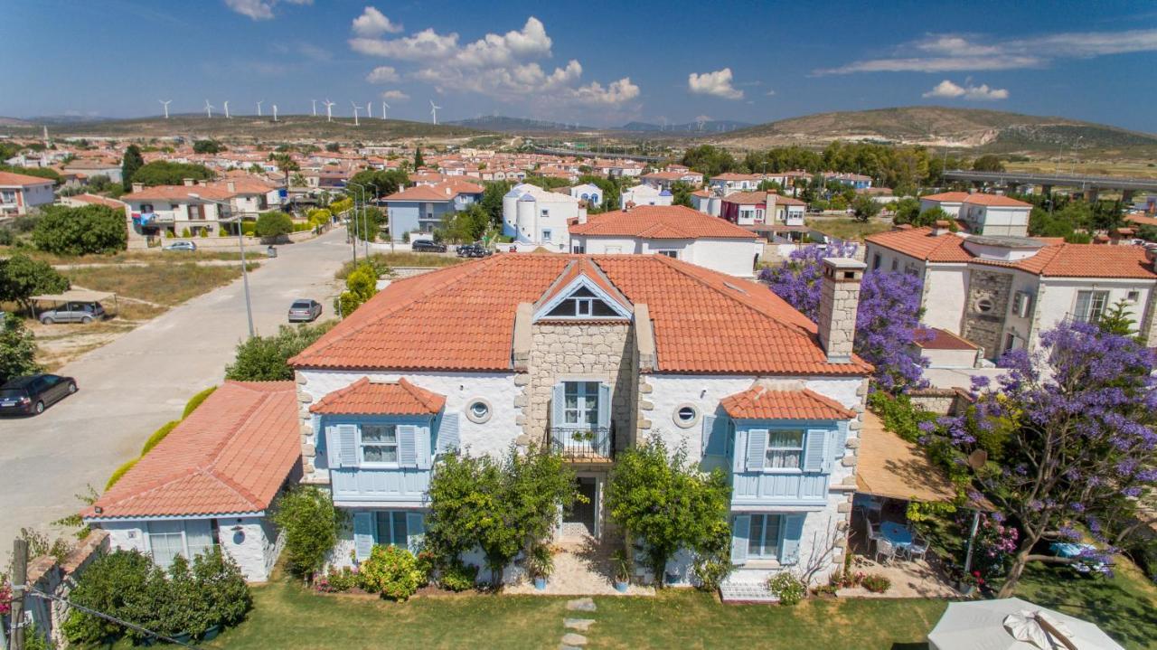 Deniz Kabugu 2*