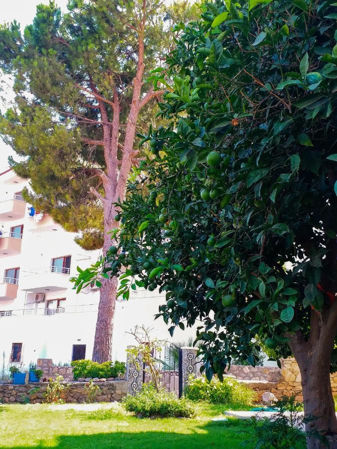 Ertem Apartment