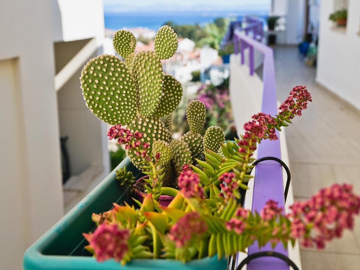Apartment Ertem