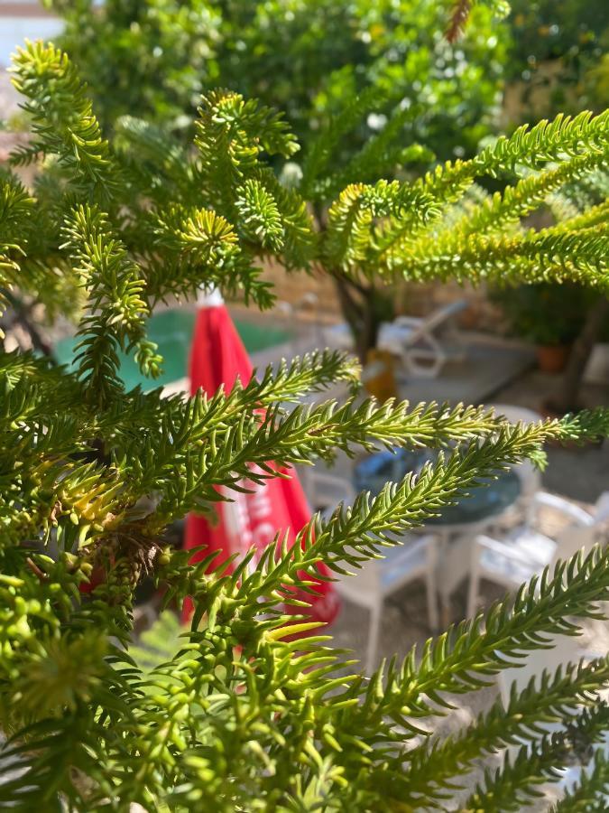 Kaleici Hotel Antalya