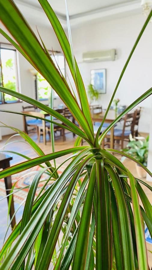 Hotel Kaleici 3*