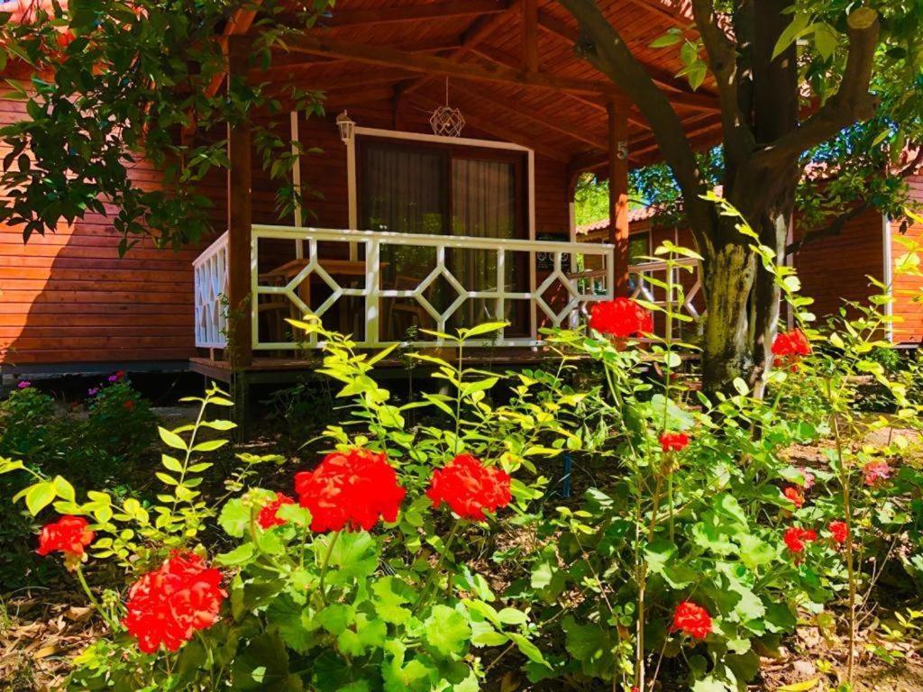 Village Garden Homestay