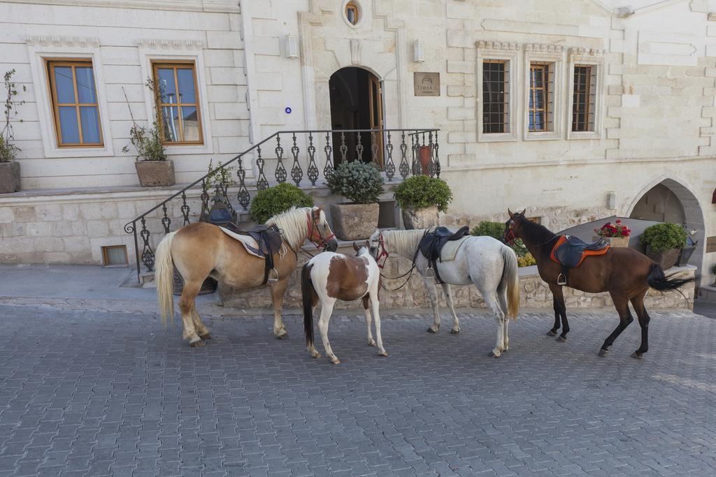 Exedra Cappadocia Hotel Ortahisar