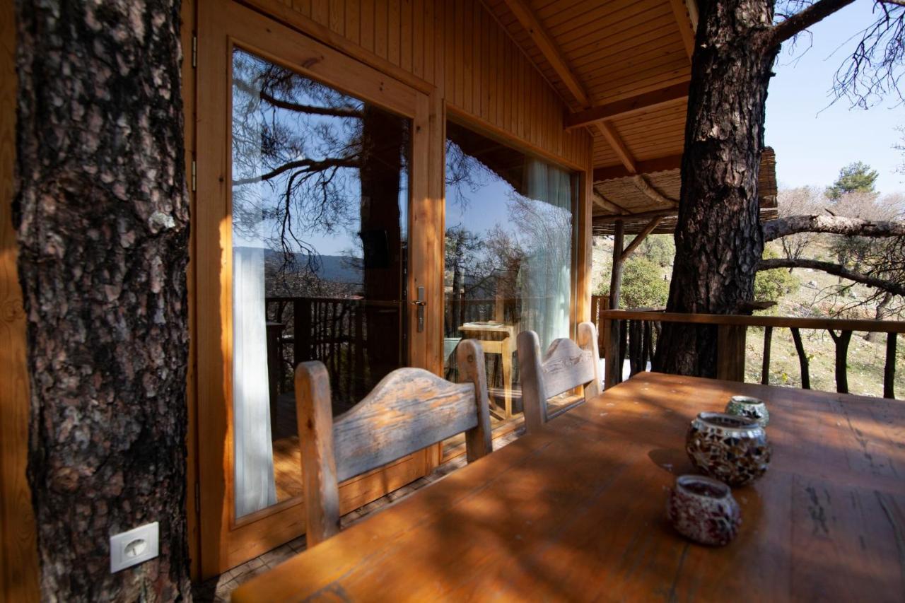 Yenice Vadi - Natural Life Village Yenice (Mugla)